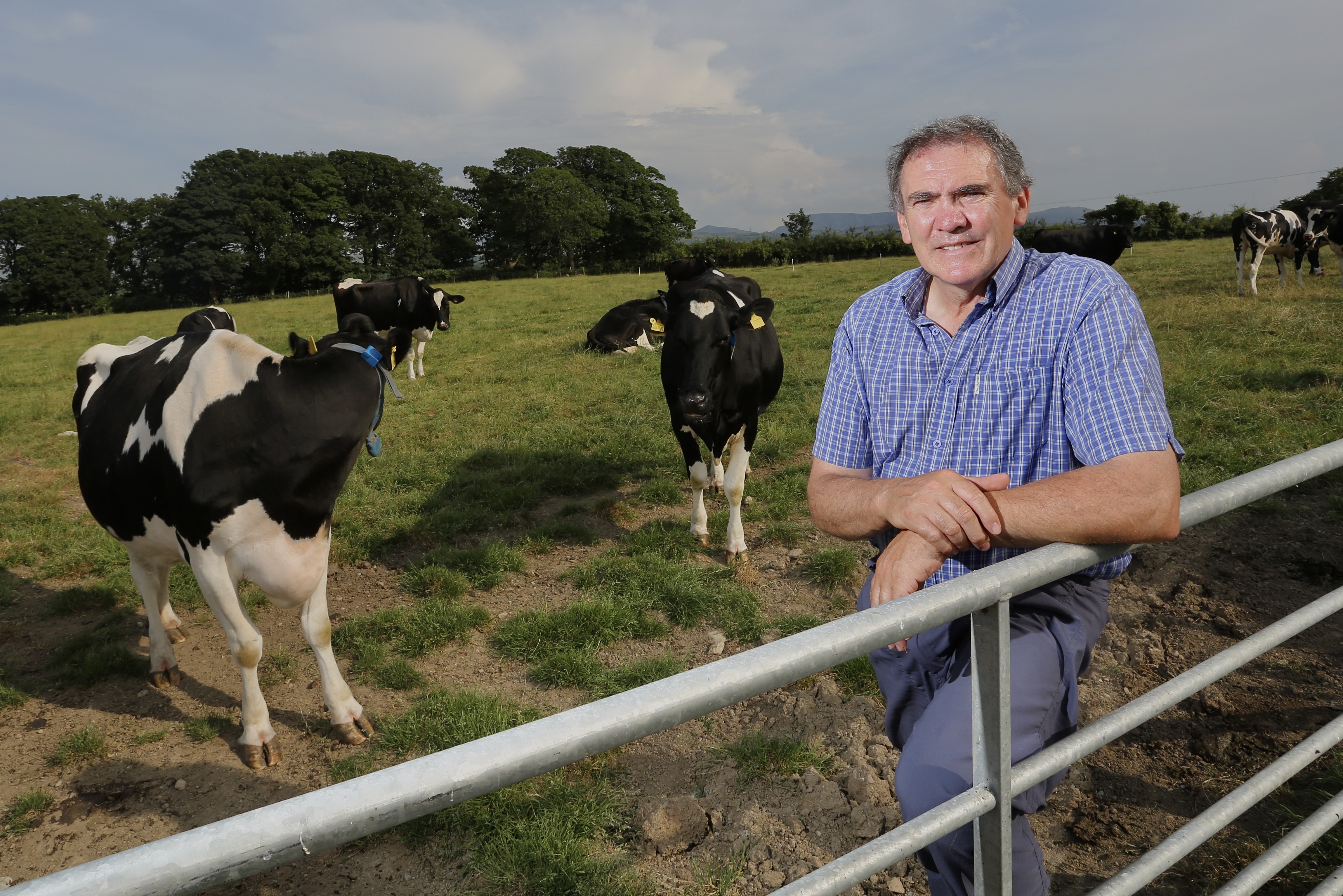 NFU Cymru President Aled Jones with cows in a field