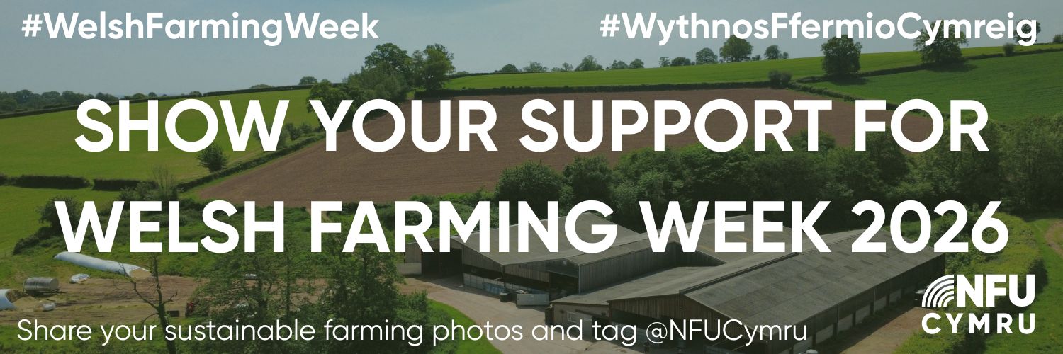 WFW Website Banner