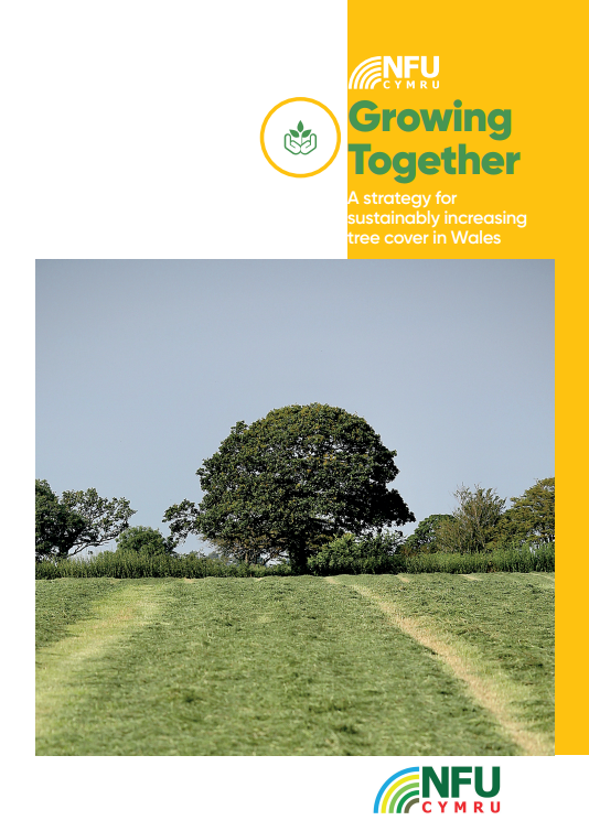Growing Together - Our tree planting strategy