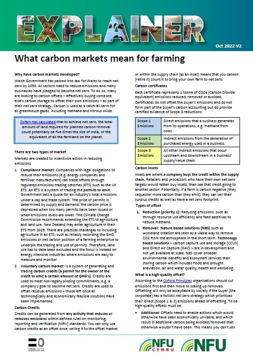 Explainer Carbon Markets - Wales
