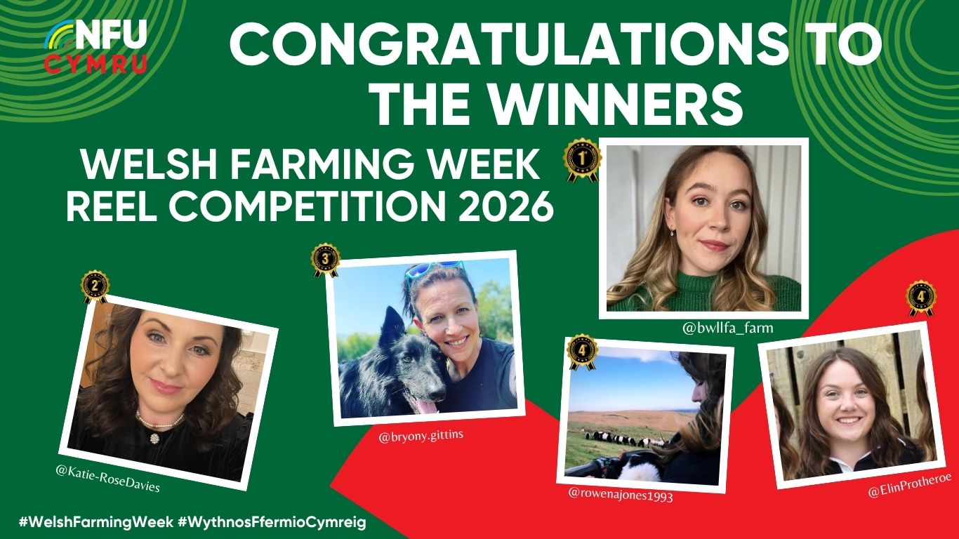 Graphic of the winners