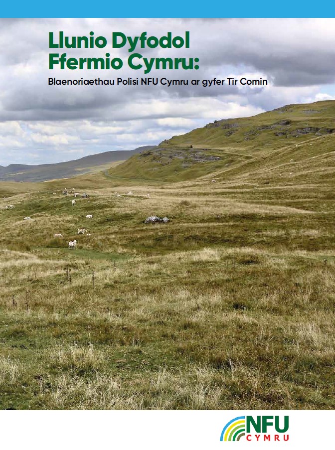 Commons Land Report Welsh