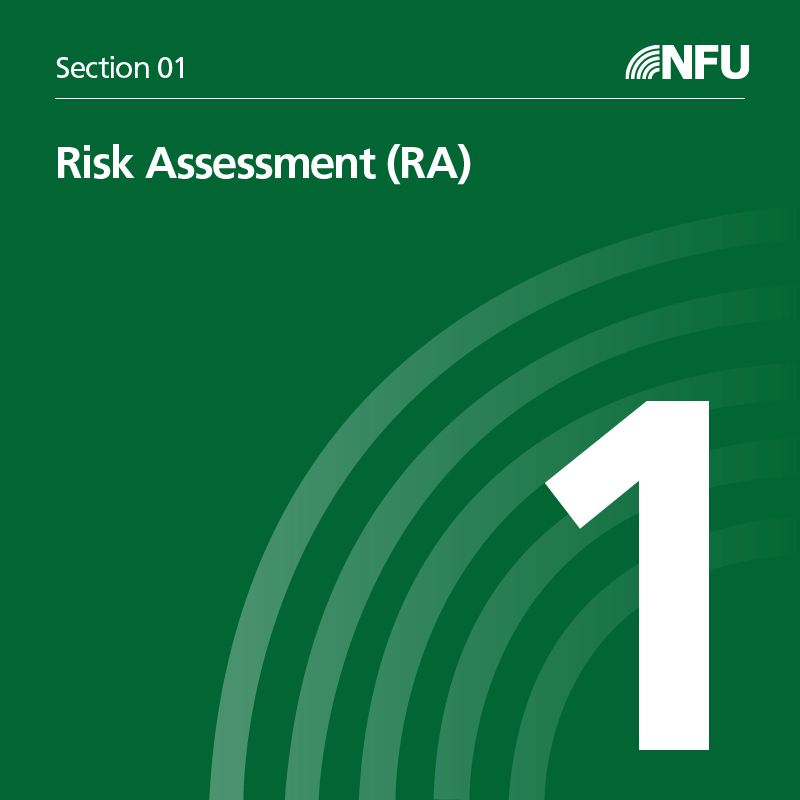 Section 1 Risk Assessment