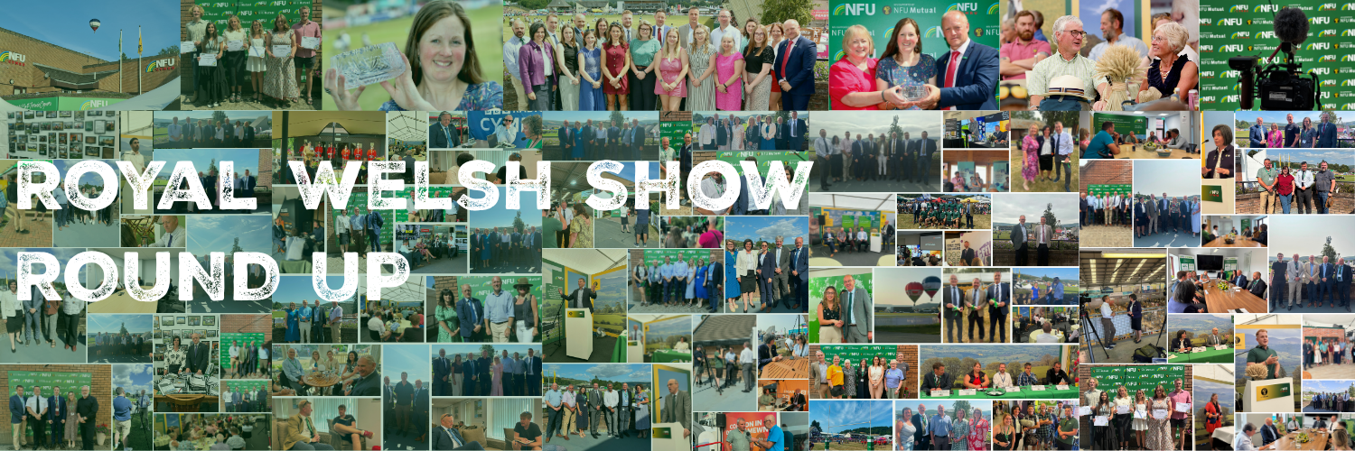RWS Round Up Website Banner