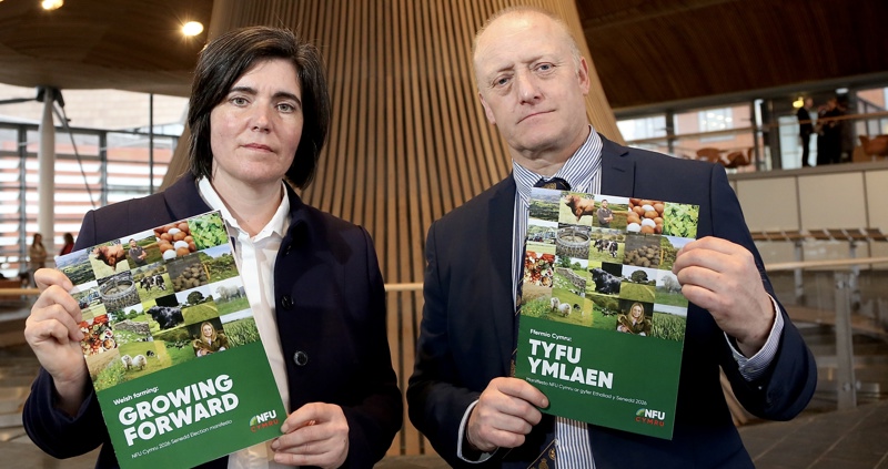 NFU Cymru urges new Senedd and Welsh Government to match industry’s ambitions