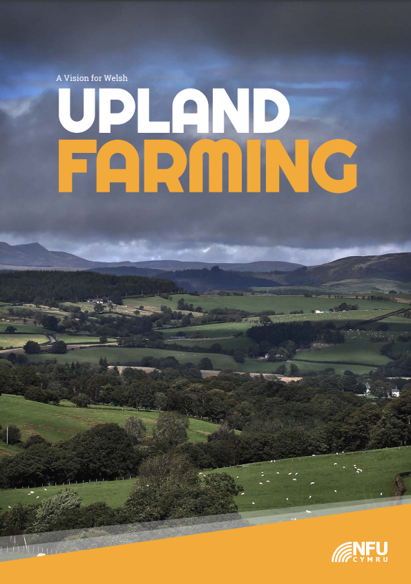 A vision for Welsh upland farming