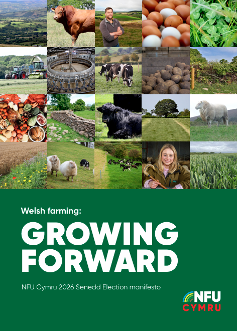 Screenshot 2026 03 10 153530