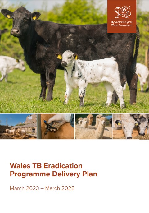 Wales Bovine TB Eradication Programme Delivery Plan 2023