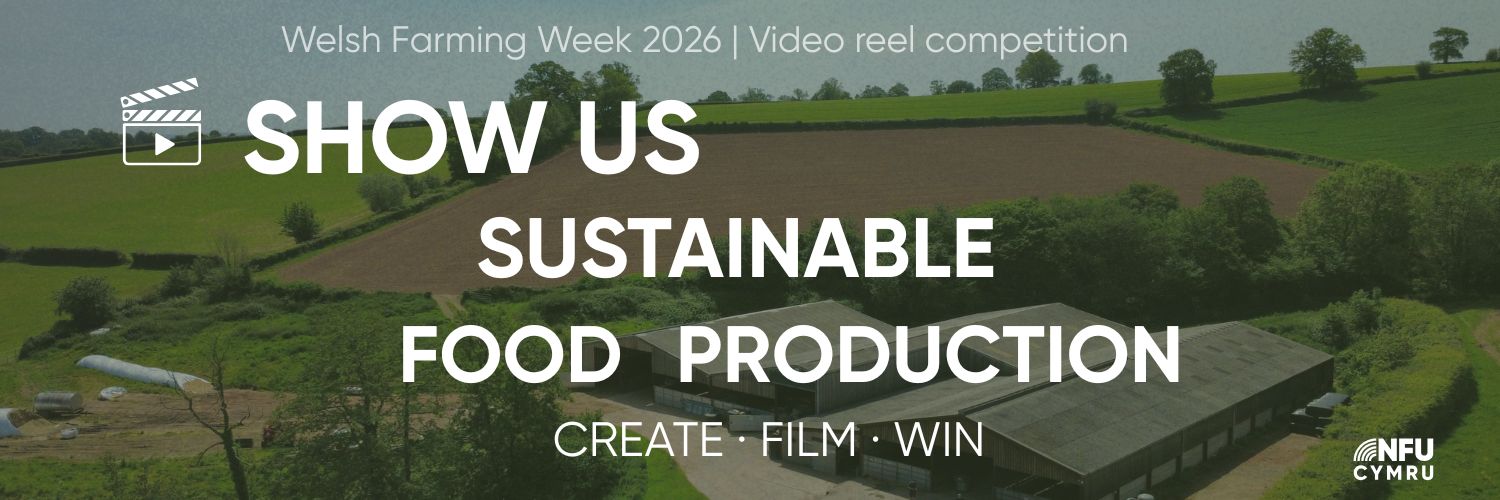 Reel Comp Website Banner (1500 X 500 Px) (1)