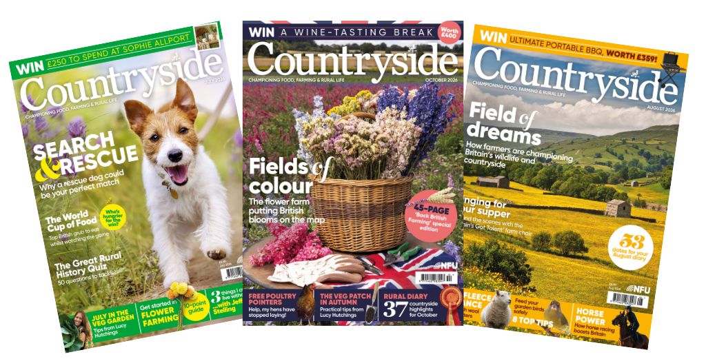 Countryside banner