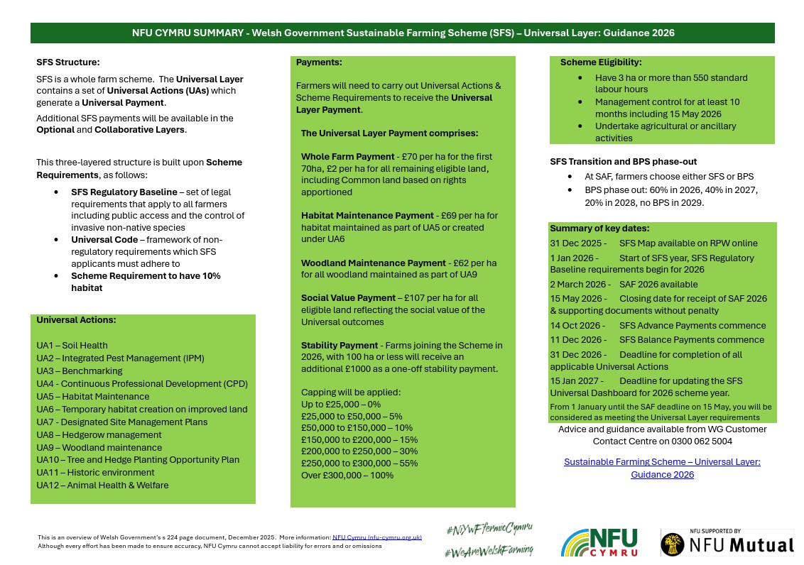 SFS Guidance 2026 One Page Briefing