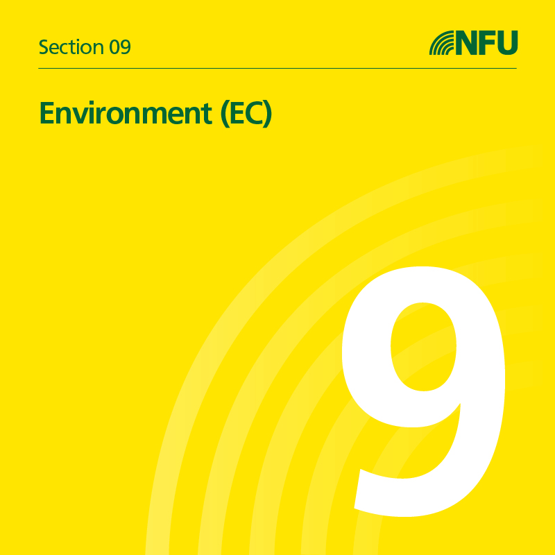 Section 9 Environment